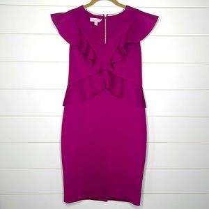 NWOT Ted Baker Dress Size 2